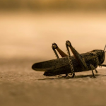 Ілюстративне фото