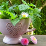 Ілюстративне фото