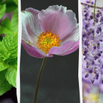 Ілюстративне фото