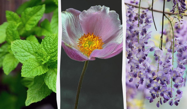 Ілюстративне фото