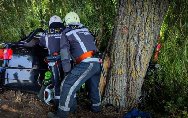 Ілюстративне фото