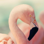 Ілюстративне фото