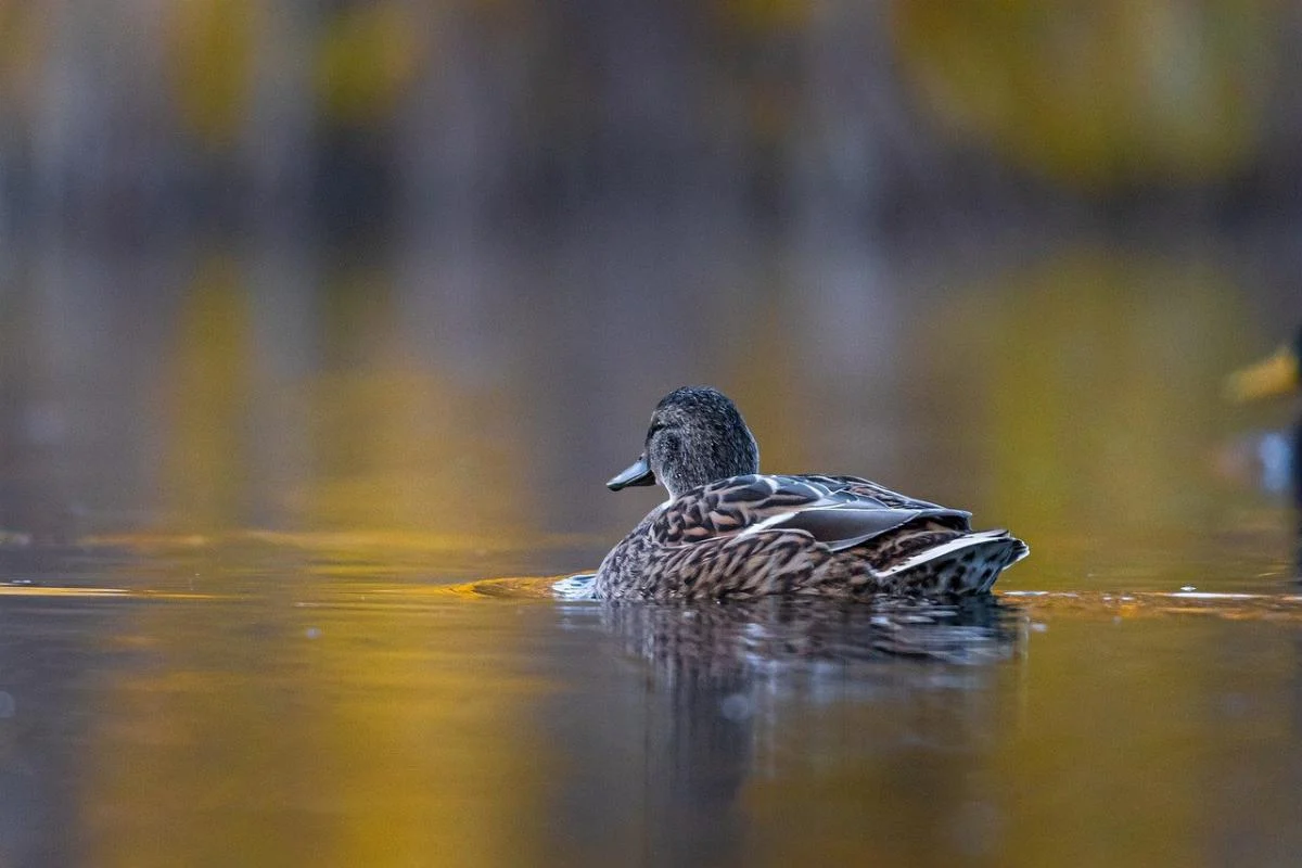 Ілюстративне фото