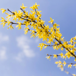 Ілюстративне фото