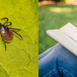 Ілюстративне фото