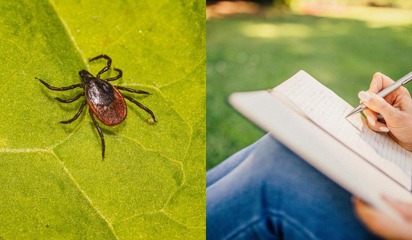 Ілюстративне фото