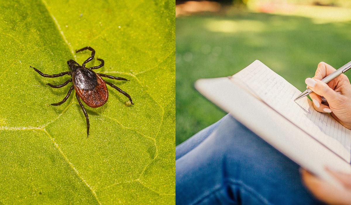 Ілюстративне фото