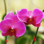 Ілюстративне фото