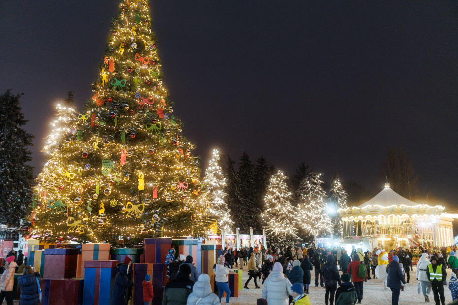 «Зимова країна» на ВДНГ: коли стартує сезон, які розваги і ціни