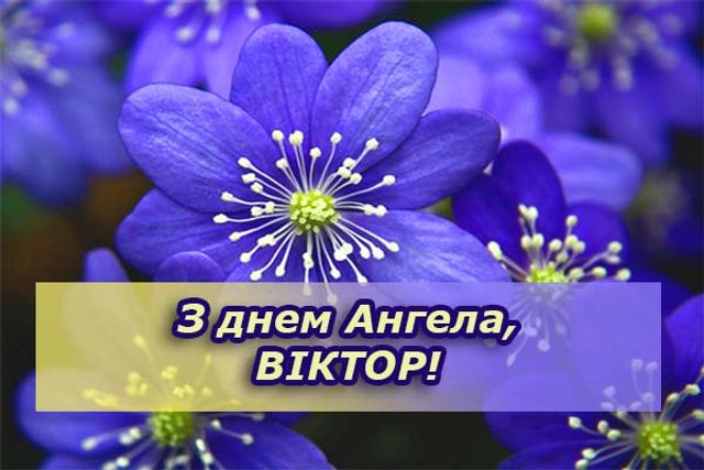День ангела Віктора 25 листопада 2025: історія свята, значення імені, привітання у віршах і прозі