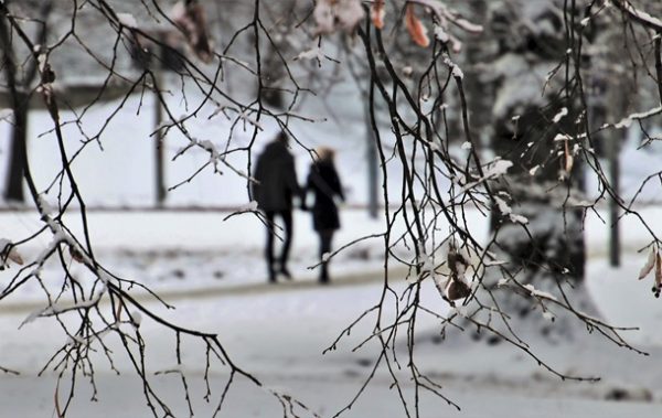 Погода в Україні зміниться: синоптики дали прогноз, коли буде потепління в лютому 2026