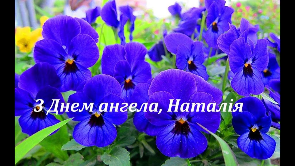 День ангела Наталі 31 березня 2026: історія свята, значення імені, привітання у віршах і прозі, картинки
