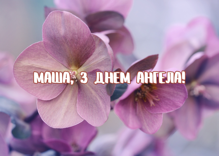 День ангела Марії 25 березня 2026: історія свята, значення імені, привітання у віршах і прозі