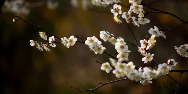 Яке свято 23 квітня 2026 в Україні: що означає день Юрія Переможця, традиції, прикмети і заборони