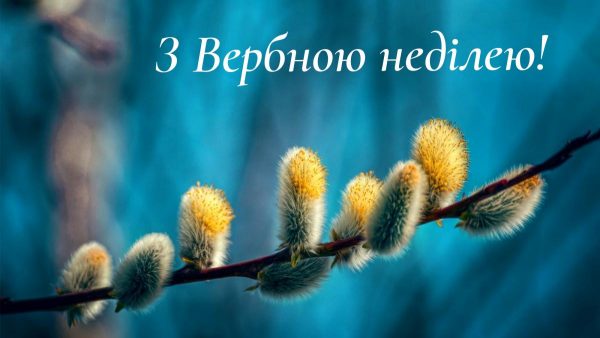 Привітання з Вербною неділею 2026 українською: теплі слова і смс, вірші, проза, картинки