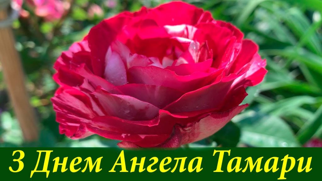 День ангела Тамари 18 квітня 2026: історія свята, значення імені, привітання у віршах і прозі, картинки