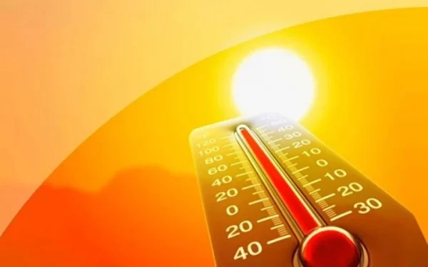 Літо 2026 може стати найспекотнішим за роки: вчені попередили про супер-Ель-Ніньйо, який прогноз для України