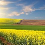 Погода в Україні до кінця тижня: прогноз синоптиків, де чекати дощів і гроз 15, 16 і 17 травня 2026