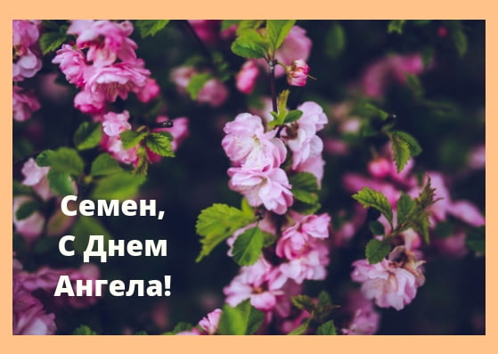 День ангела Семена 15 червня 2026: історія свята, значення імені, привітання у віршах і прозі, картинки