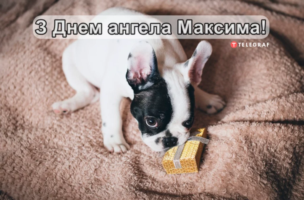День ангела Максима 17 червня 2026: історія свята, значення імені, привітання у віршах і прозі, картинки