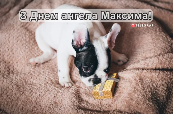 День ангела Максима 17 червня 2026: історія свята, значення імені, привітання у віршах і прозі, картинки