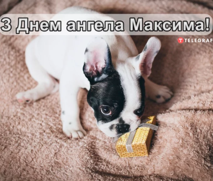 День ангела Максима 17 червня 2026: історія свята, значення імені, привітання у віршах і прозі, картинки