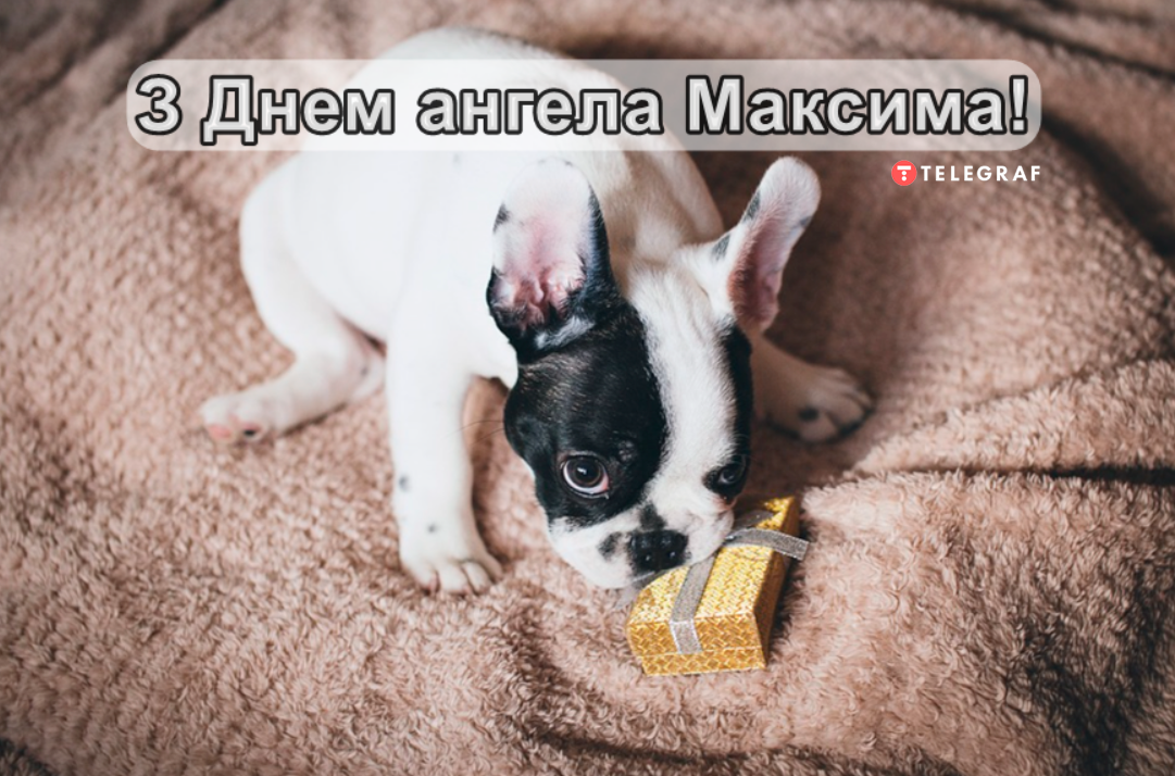 День ангела Максима 17 червня 2026: історія свята, значення імені, привітання у віршах і прозі, картинки
