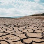 Ель-Ніньйо в Україні 2026: прогноз, як вплине на врожай, чому липень може стати критичним