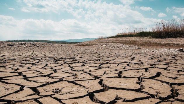 Ель-Ніньйо в Україні 2026: прогноз, як вплине на врожай, чому липень може стати критичним