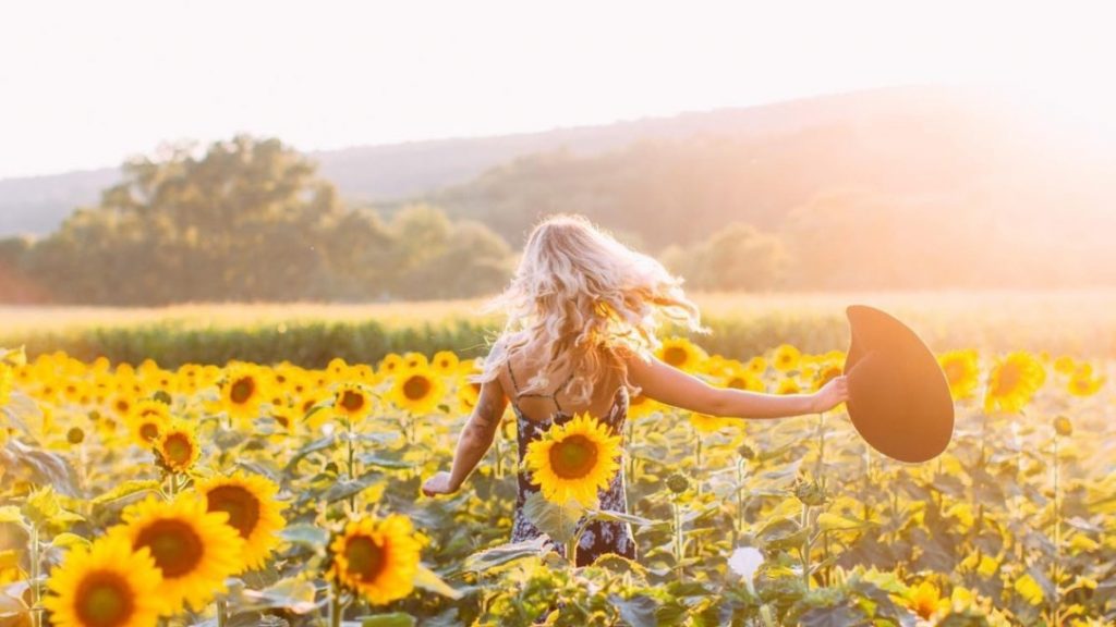 Прогноз погоди на серпень 2026 в Україні: чого очікувати, буде спека або похолодання