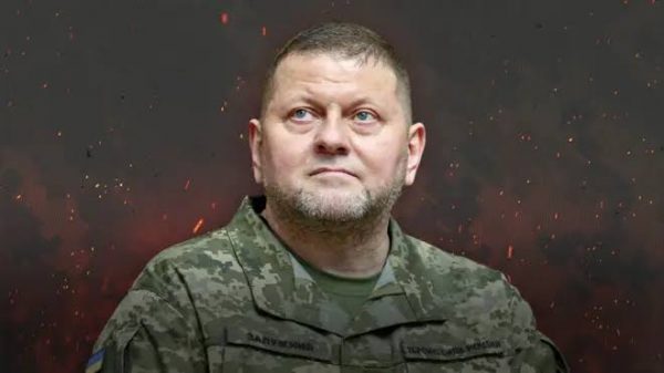 Залужний відповів Зеленському, чи братиме участь у президентських виборах: деталі зустрічі