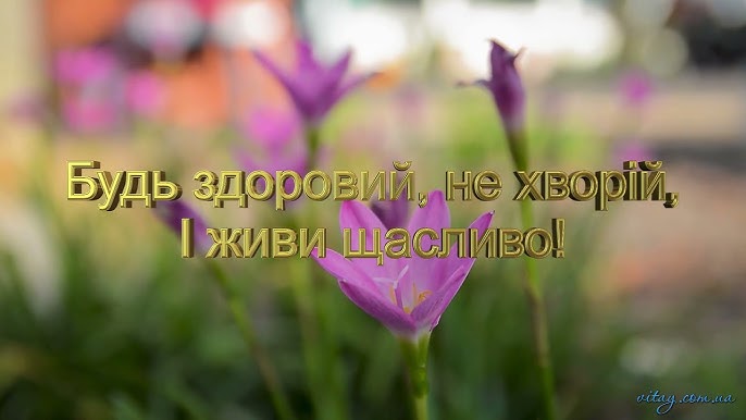 День ангела Богдана 20 серпня 2026: історія свята, значенні імені, привітання у віршах і прозі