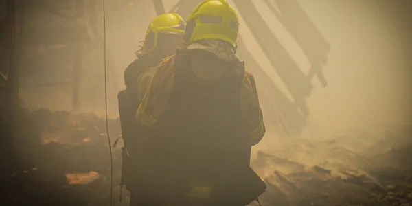 «Сніжна Панда» повідомила про повне знищення складу після удару РФ: що буде з поставками туалетного паперу
