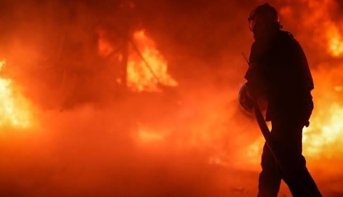 «Сніжна Панда» повідомила про повне знищення складу після удару РФ: що буде з поставками туалетного паперу