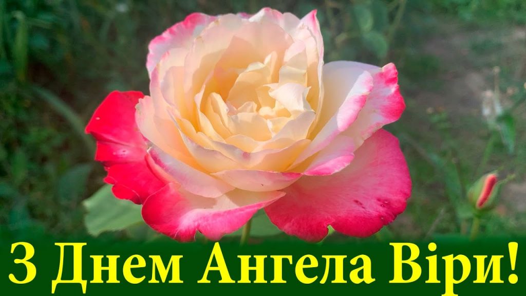 День ангела Віри 17 вересня 2026: історія свята, значення імені, привітання у віршах і прозі