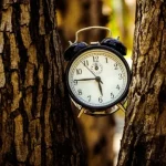 Коли переводять годинники на зимовий час в Україні у 2026 році: яка різниця в часі з Польщею та Німеччиною