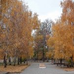 Осінній парк КПІ у Києві з жовтим листям