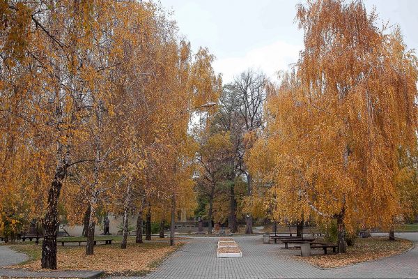 Осінній парк КПІ у Києві з жовтим листям