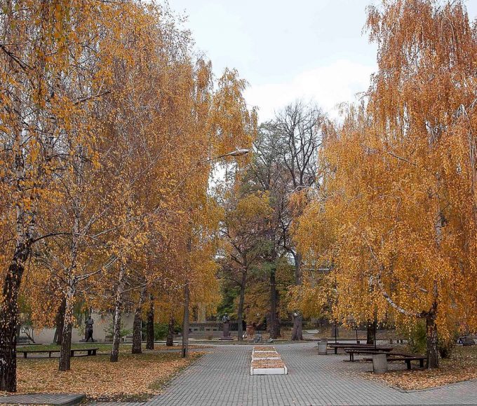 Осінній парк КПІ у Києві з жовтим листям