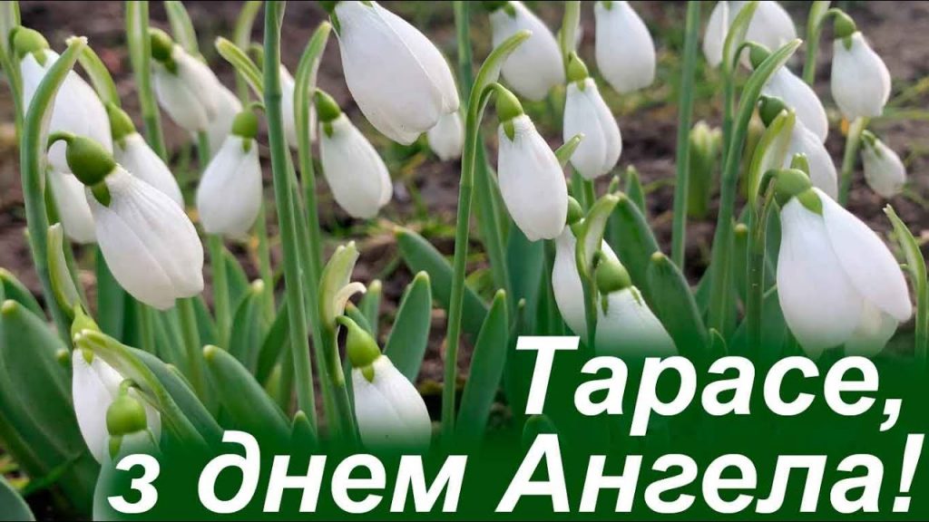 День ангела Тараса 25 жовтня 2026: історія свята, значення імені, привітання у віршах і прозі, картинки